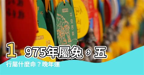 1975年屬什麼生肖|1975年兔一生的運氣 出生五行命理分析